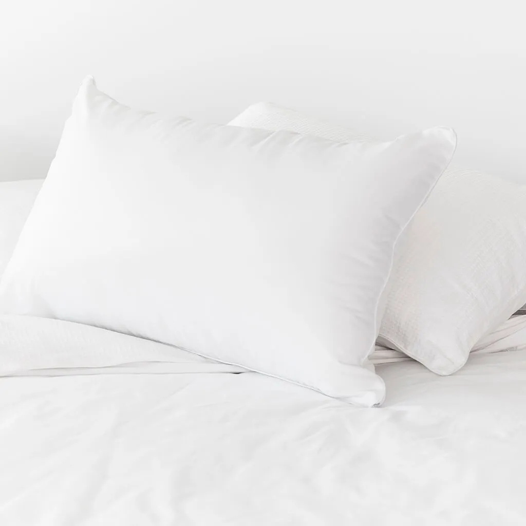 Allergy Plus Anti Stain Pillow - Medium