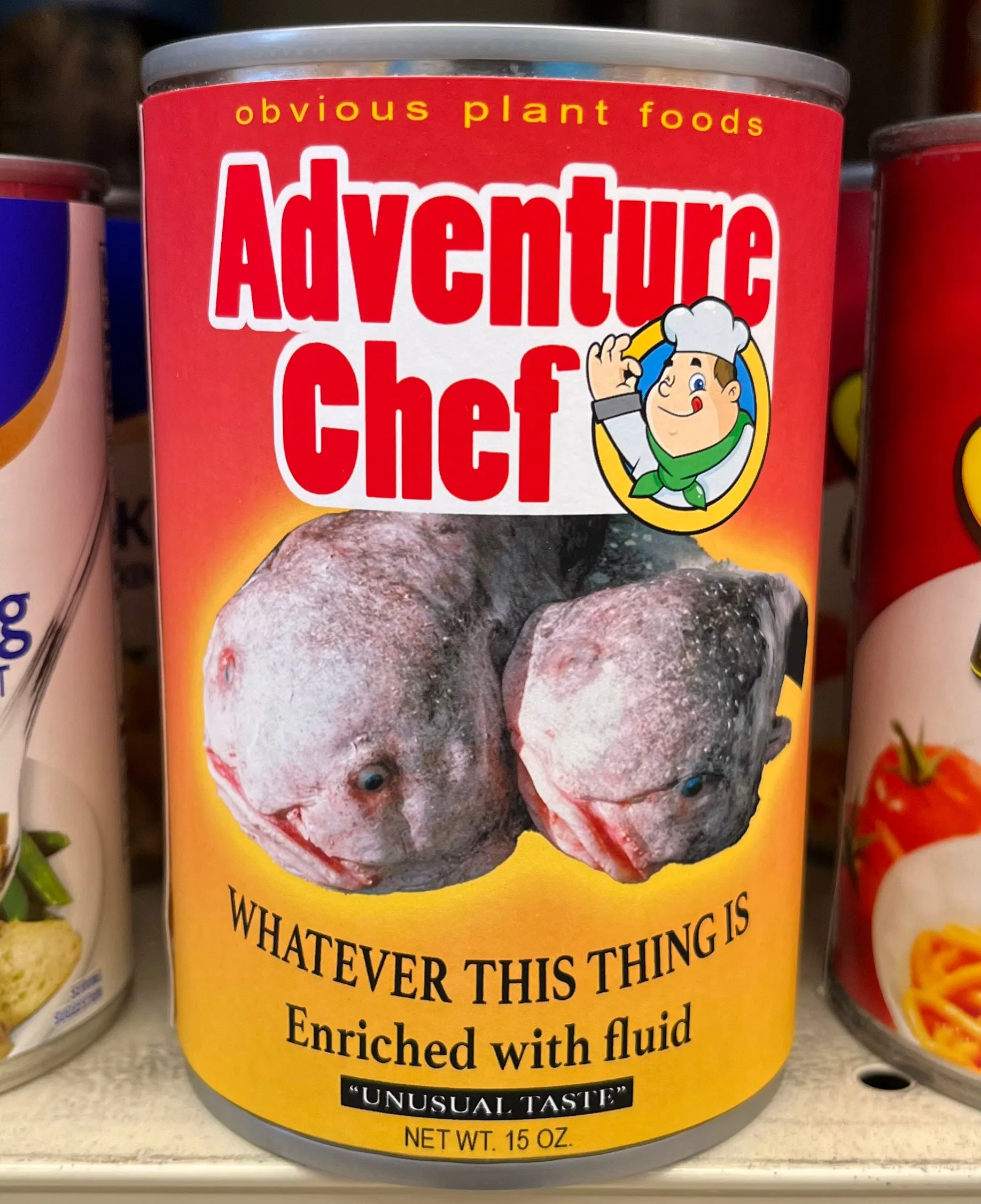 Canned Food Labels (Printable)