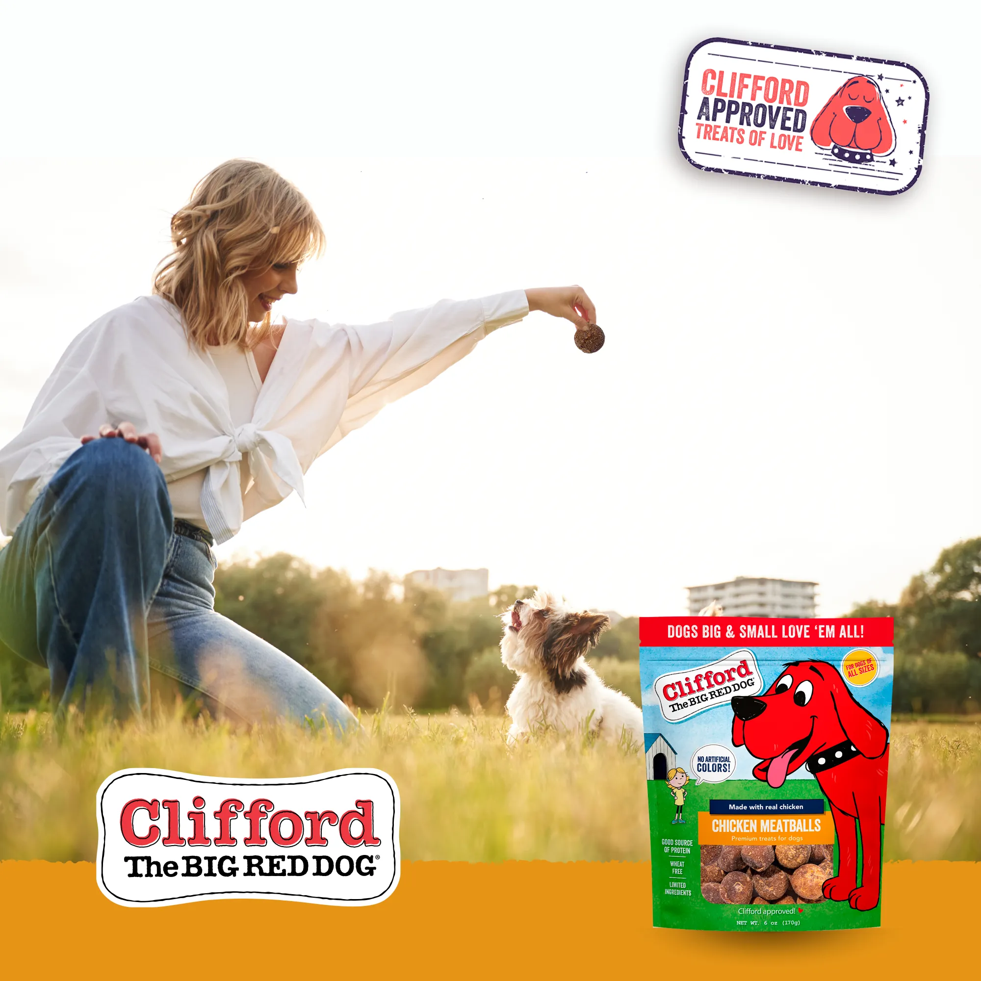 Clifford® Chicken Meatballs 24 oz
