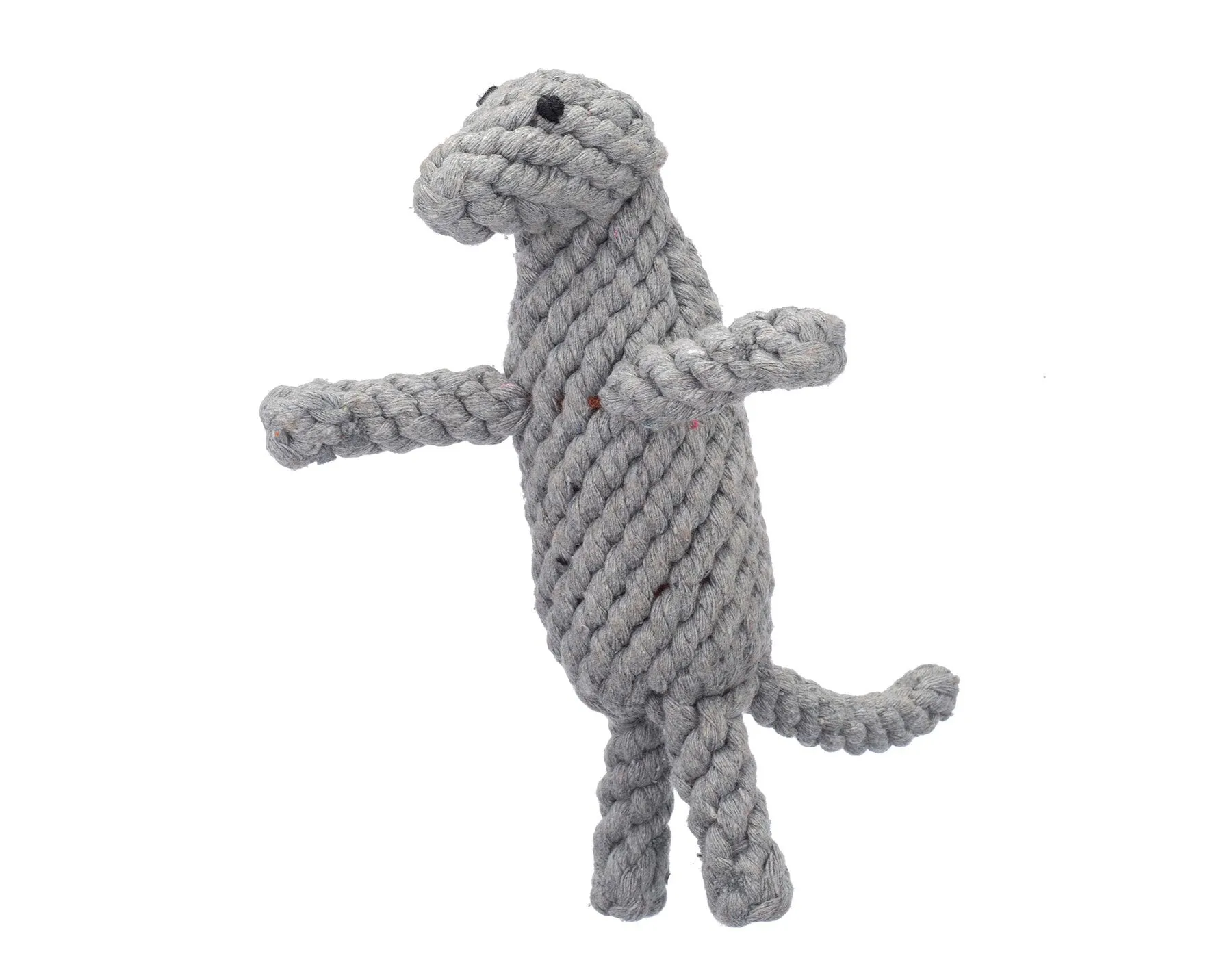 Dexter The Komodo Dragon 9" Rope Dog Toy