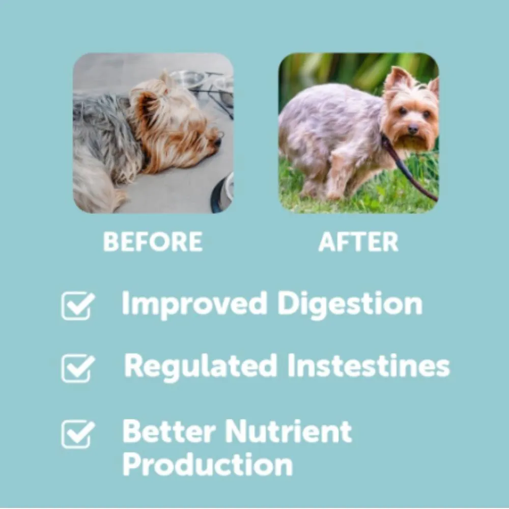 Dr. Shiba Dog Treats Supplement Happy Tummy Beef 250g