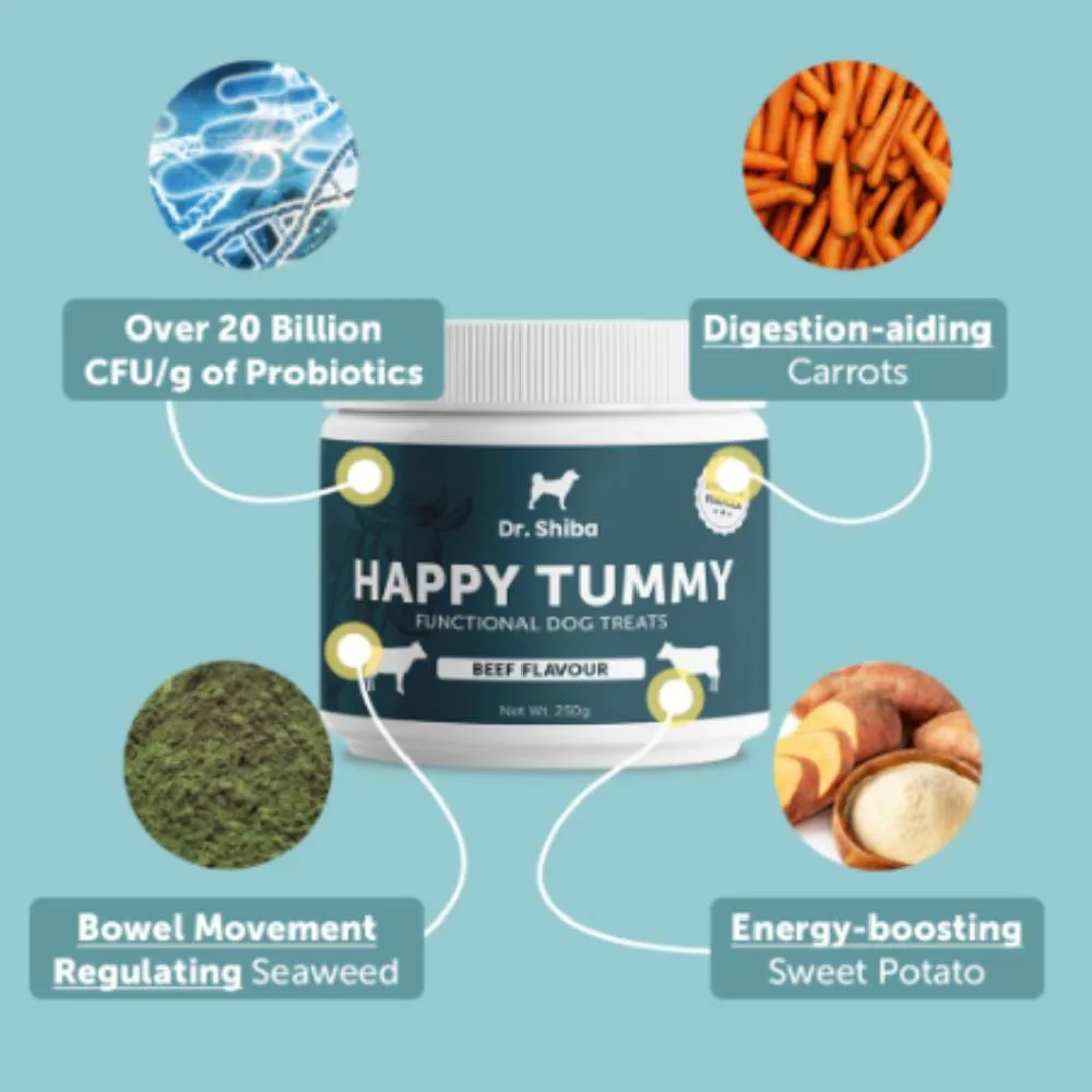 Dr. Shiba Dog Treats Supplement Happy Tummy Beef 250g