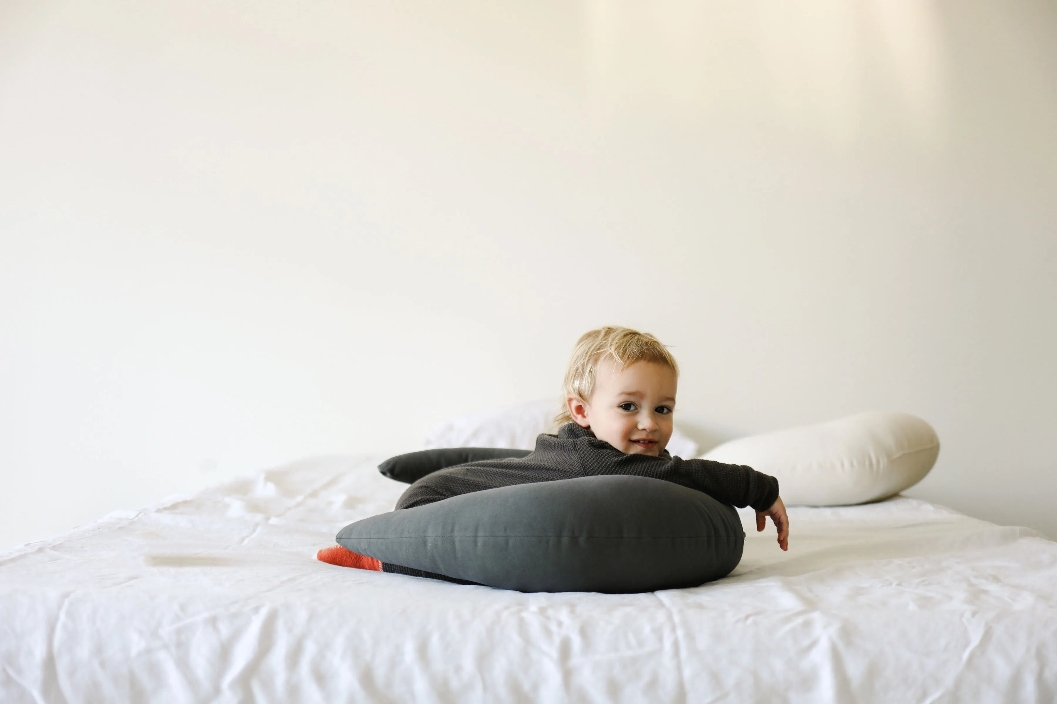 Feeding Support Pillow (Sparrow)