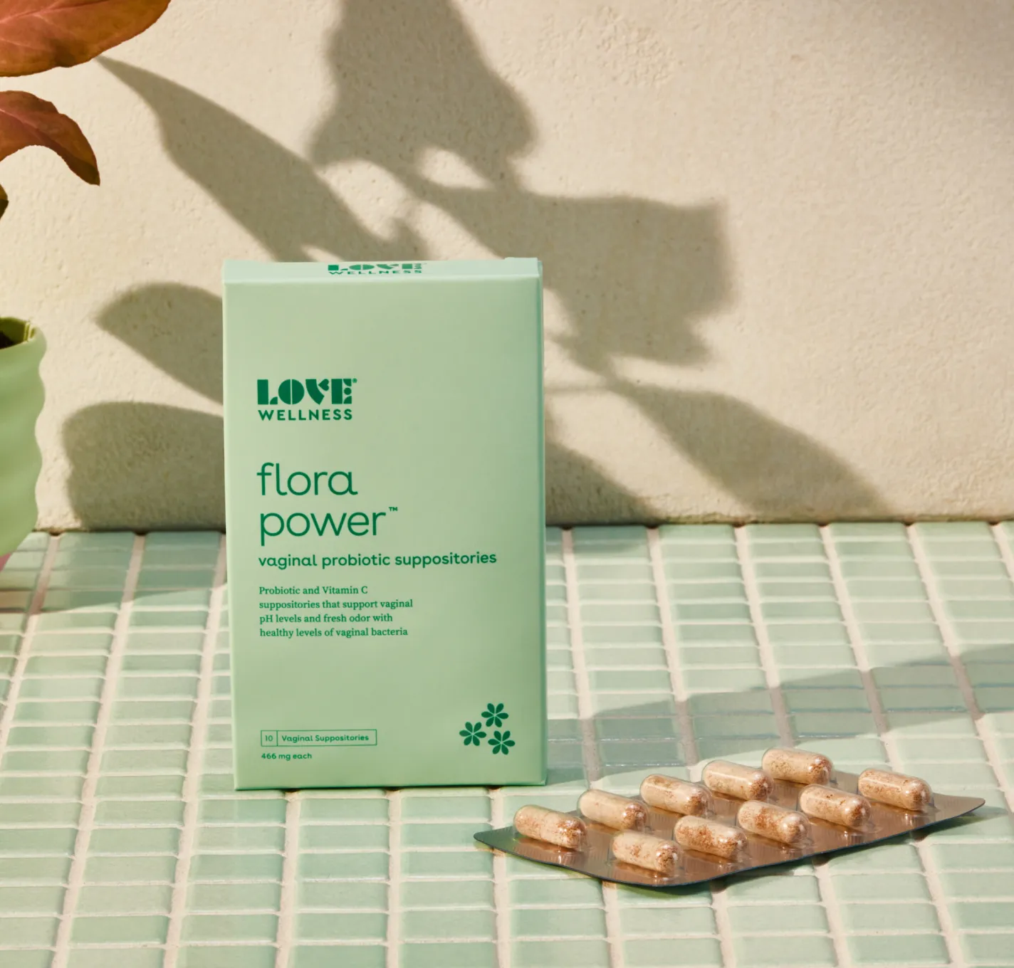 Flora Power Vaginal Probiotic Suppositories