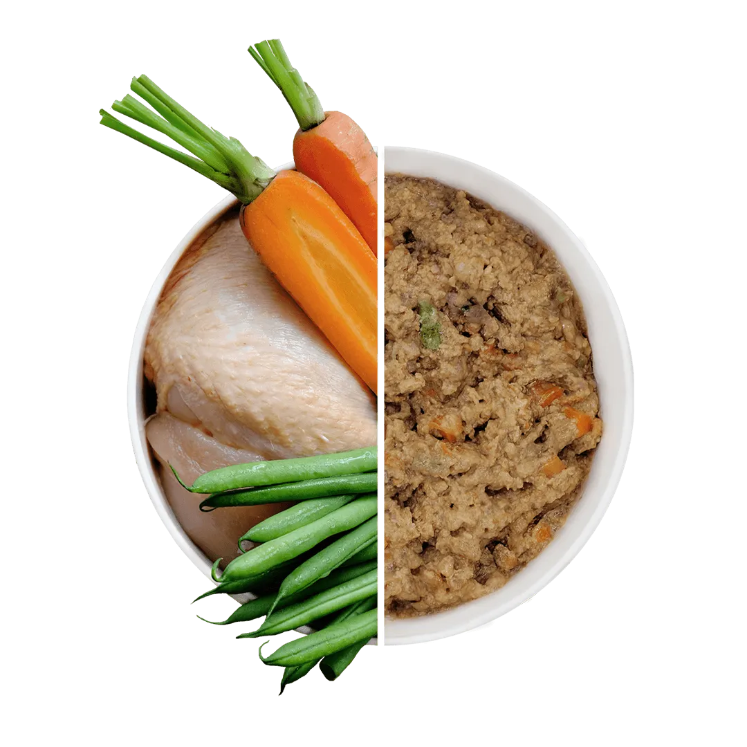 Free Range Chicken with Carrots & Green Beans