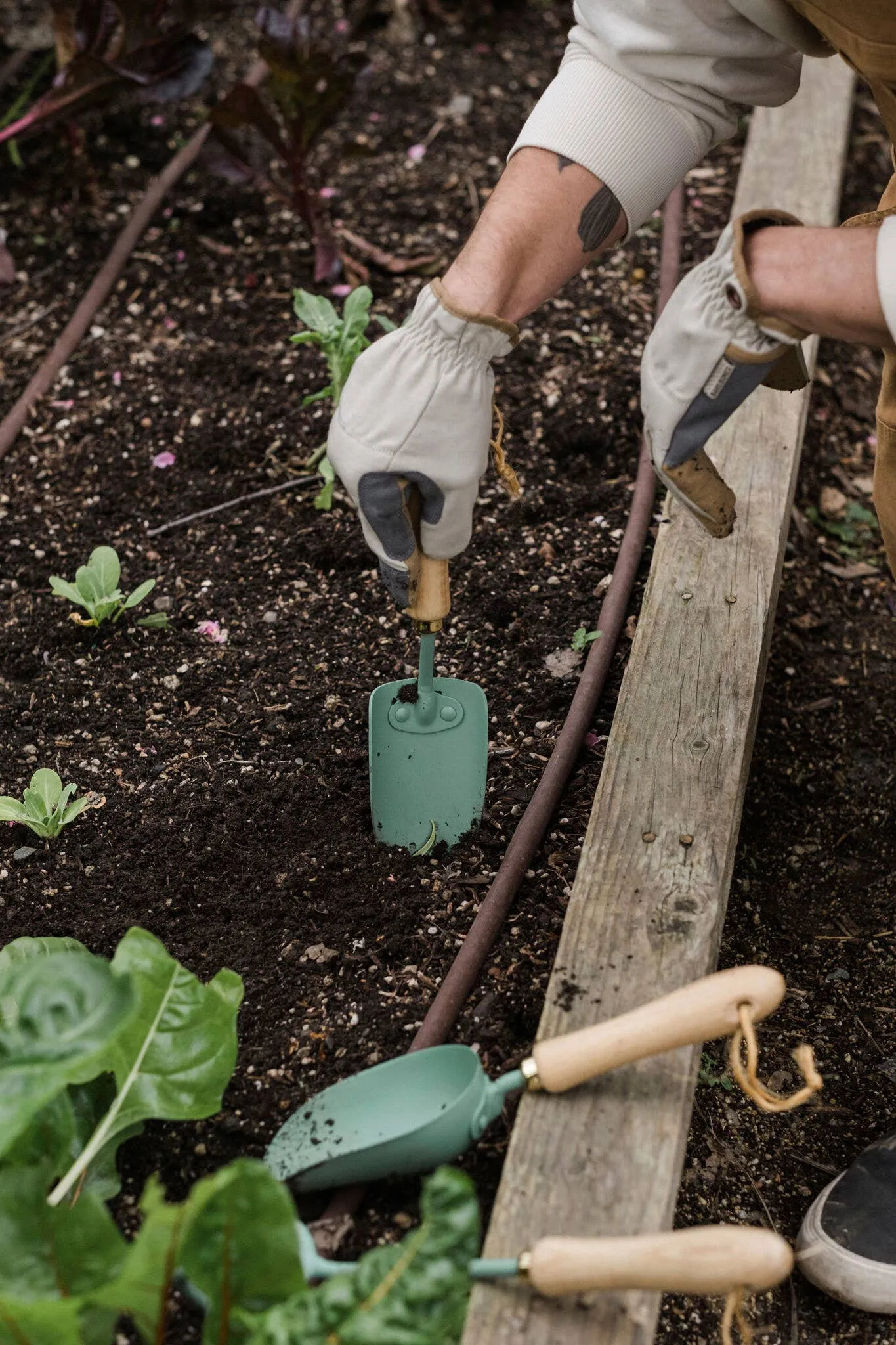 Garden Trowel: Walnut/Black