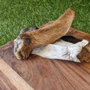 Goat Ears (Fur On)