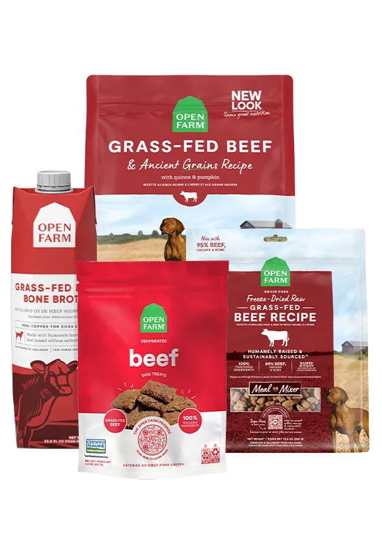 Grass-Fed Goodness Bundle