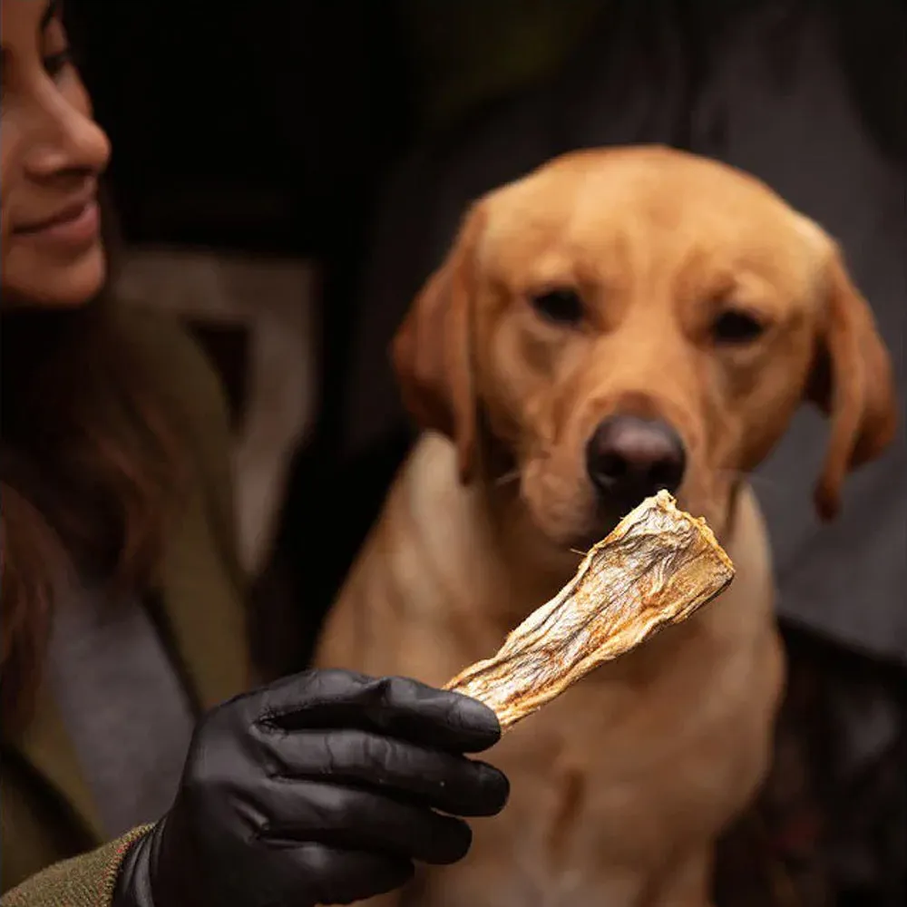 Iceland Fish Delights Dog Treats