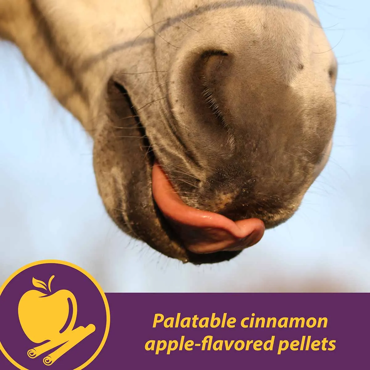 Joint Combo™ Pellets for Horses