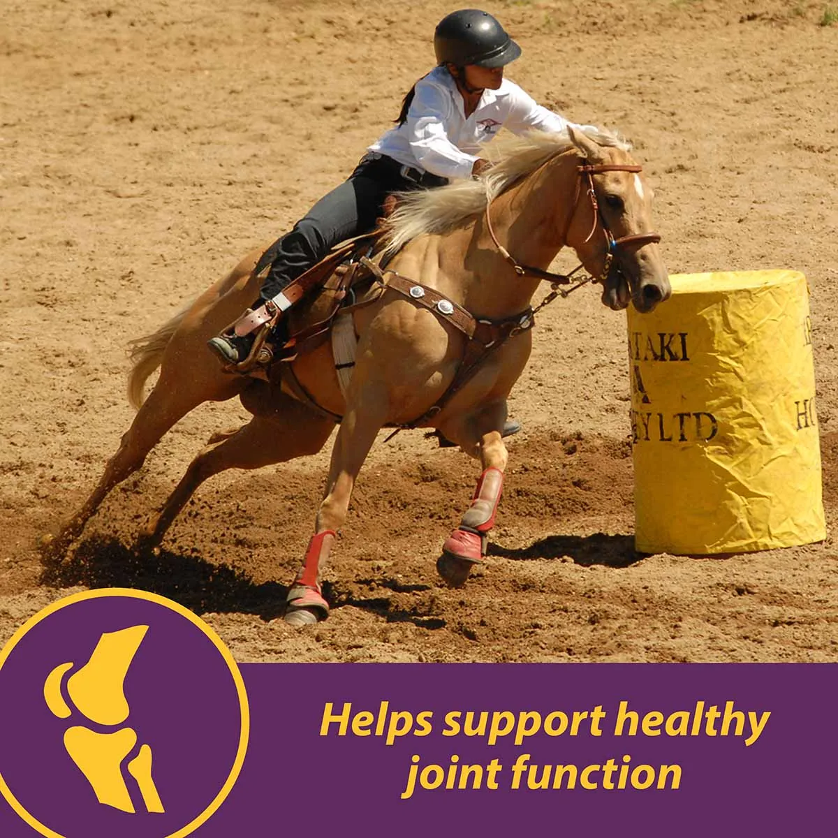 Joint Combo™ Pellets for Horses
