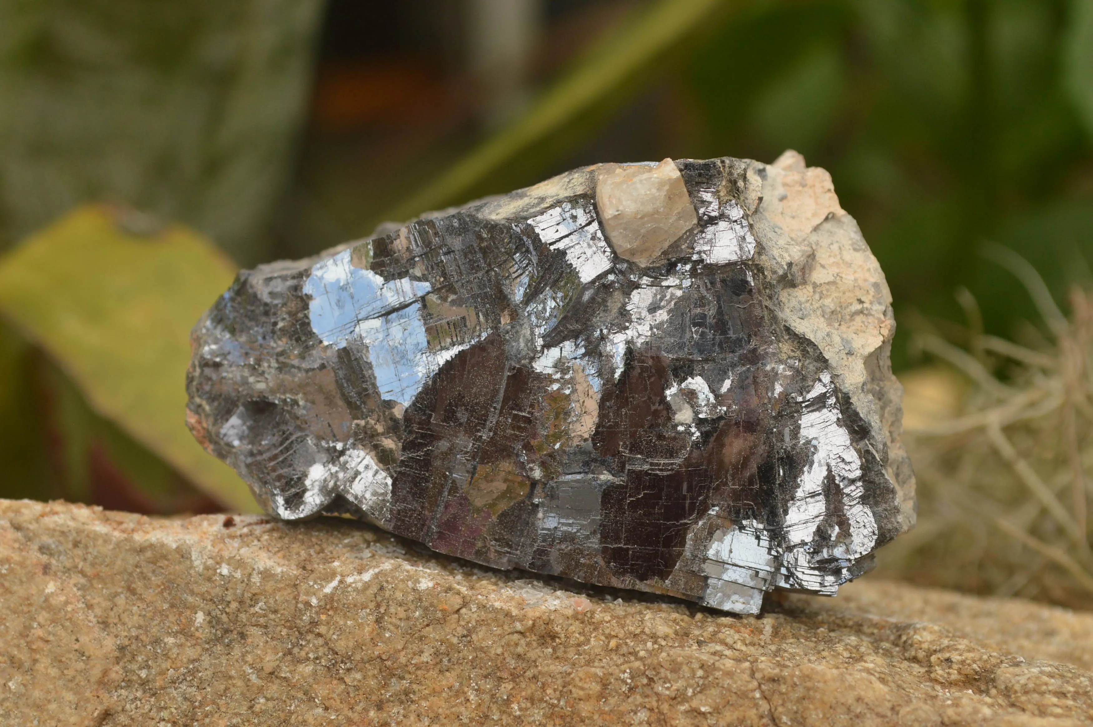 Natural Silver Lead Galena Specimens (Some With Copper) x 6 From Namibia
