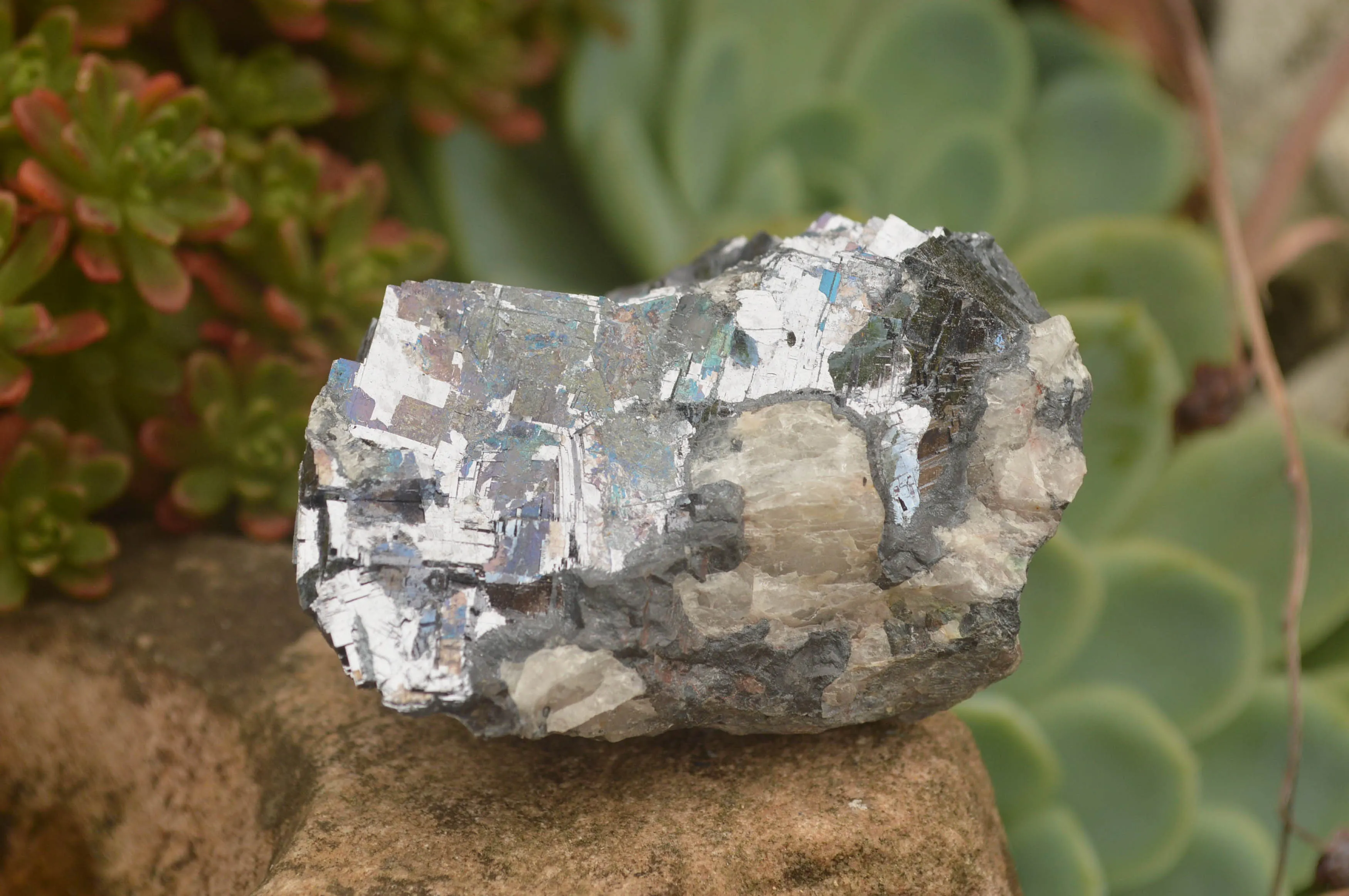 Natural Silver Lead Galena Specimens (Some With Copper) x 6 From Namibia