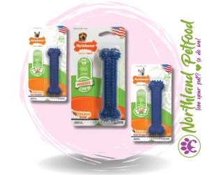 Nylabone Dental Chew Bone- Flexi Chew