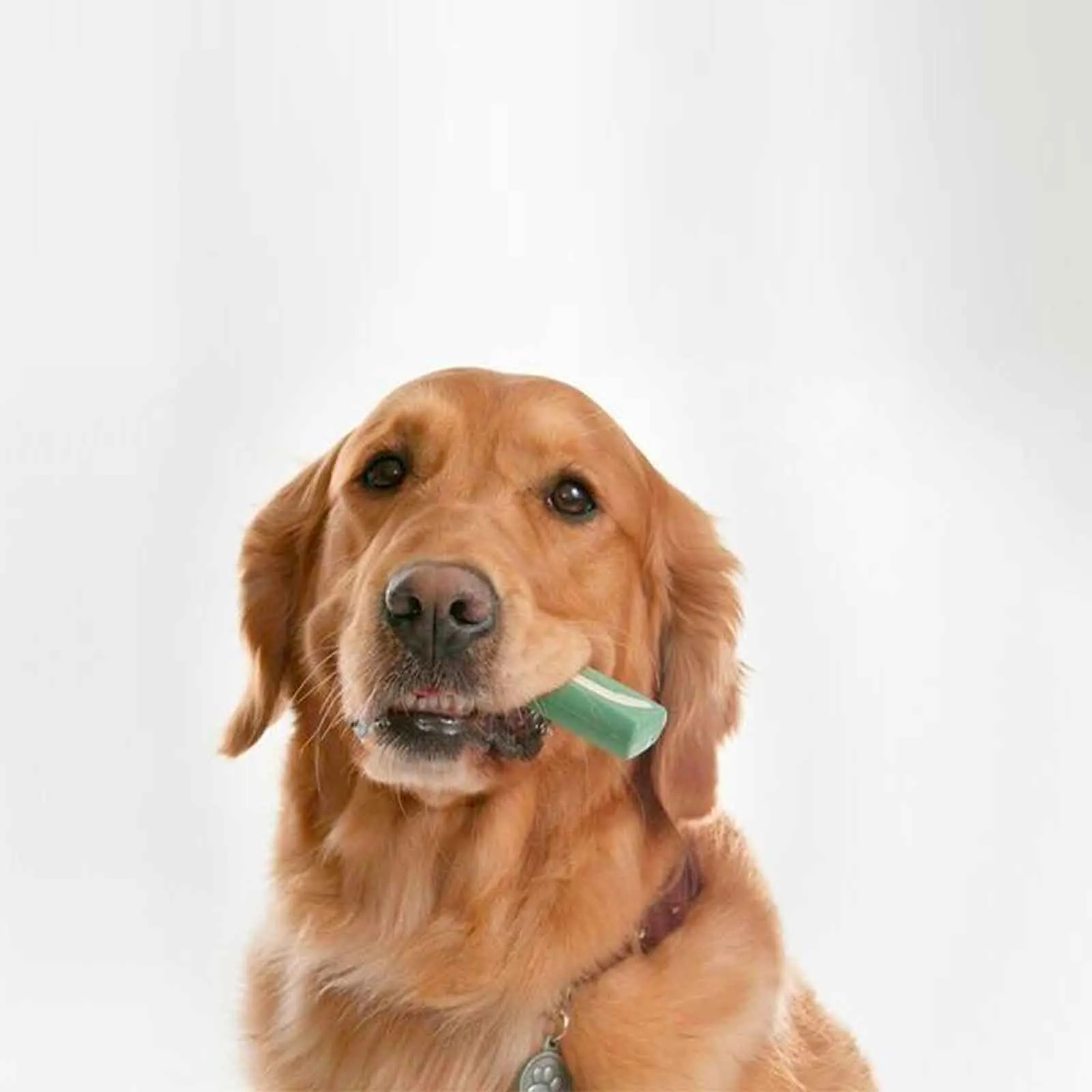 OraVet Dental Hygiene Chews for Medium Dogs 28 Pack