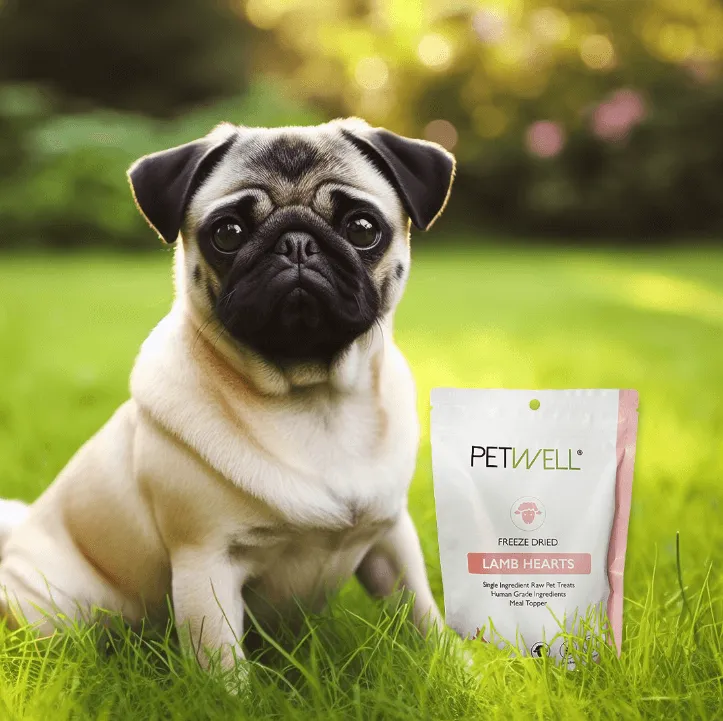 PetWell Freeze Dried Lamb Hearts