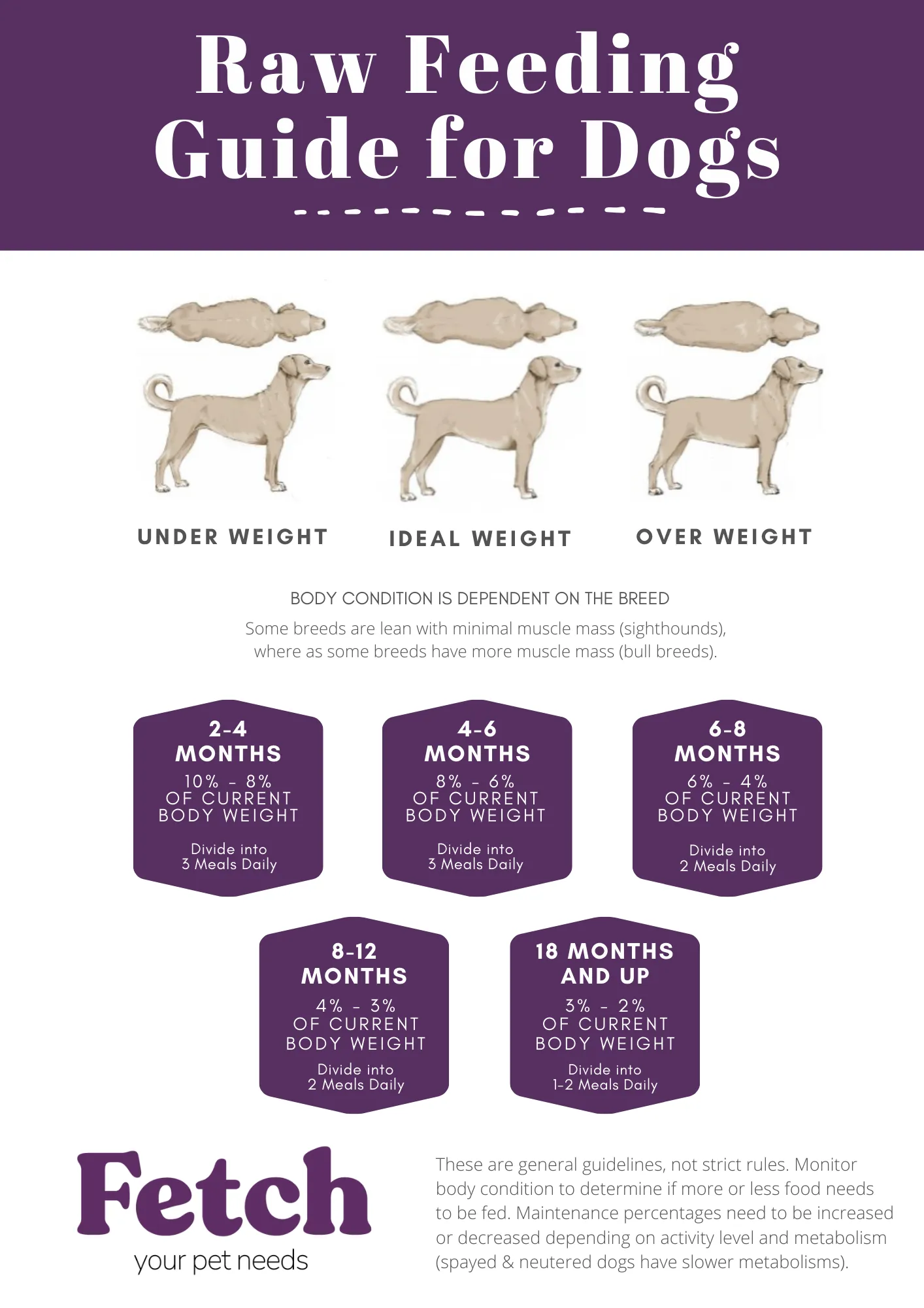 Raw Necessity Chicken and Beef Complete 1kg