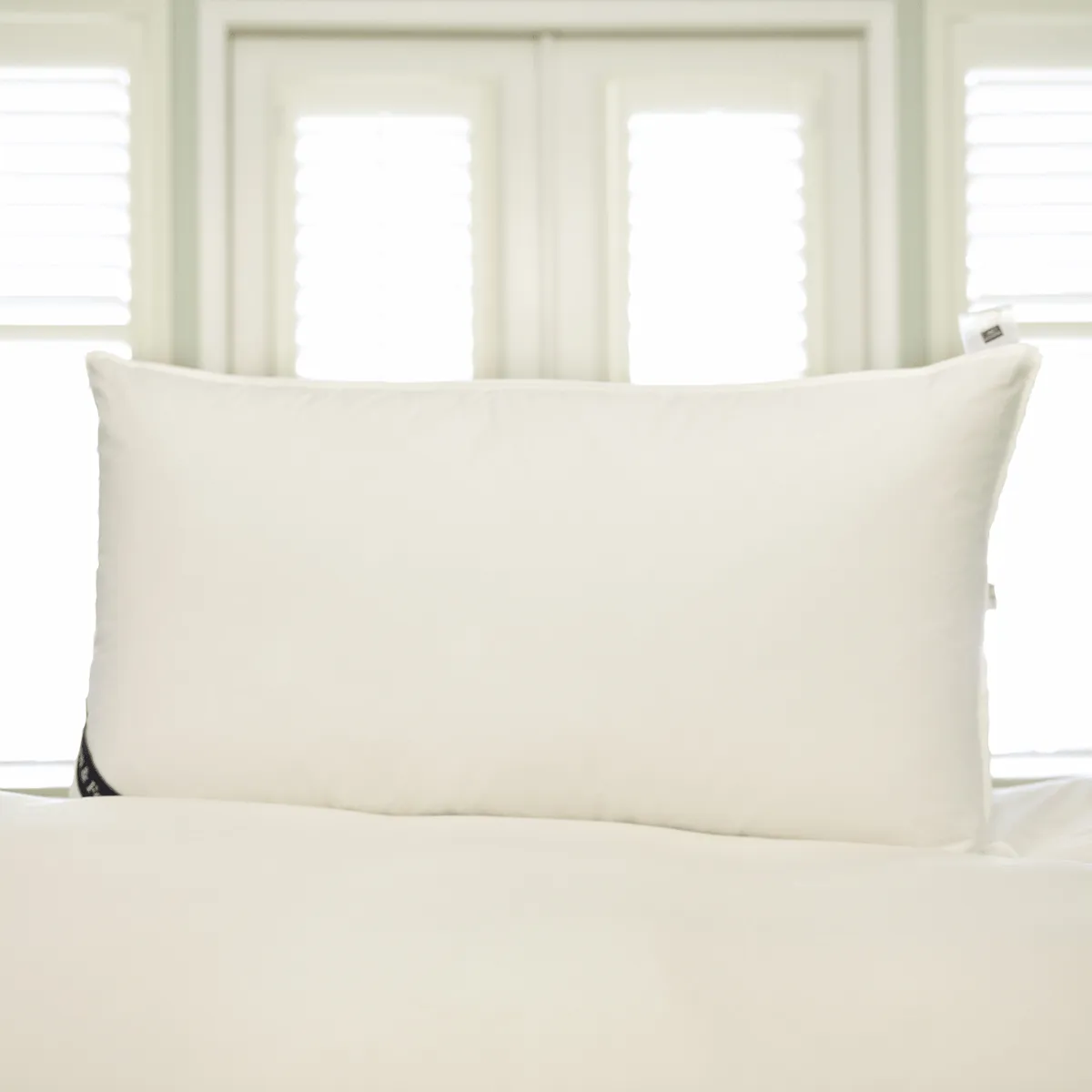 Snuggle Soft 600 Fill Power Goose Down Pillows - King (20" x 36")
