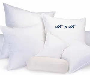 Snuggle Soft 600 Goose Down Decorative Throw Pillow - (28" x 28")