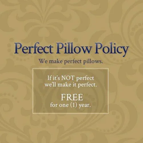 Snuggle Soft 600 Goose Down Decorative Throw Pillow - (28" x 28")