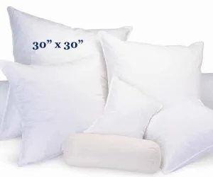Snuggle Soft 600 Goose Down Decorative Throw Pillow - (30" x 30")