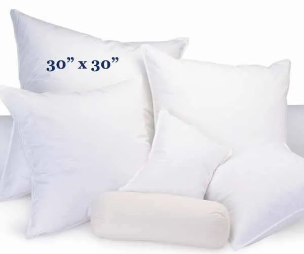 Snuggle Soft 600 Goose Down Decorative Throw Pillow - (30" x 30")