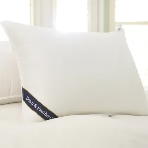 Snuggle Soft 700 Fill Power Goose Down Pillows - Standard (20" x 26")