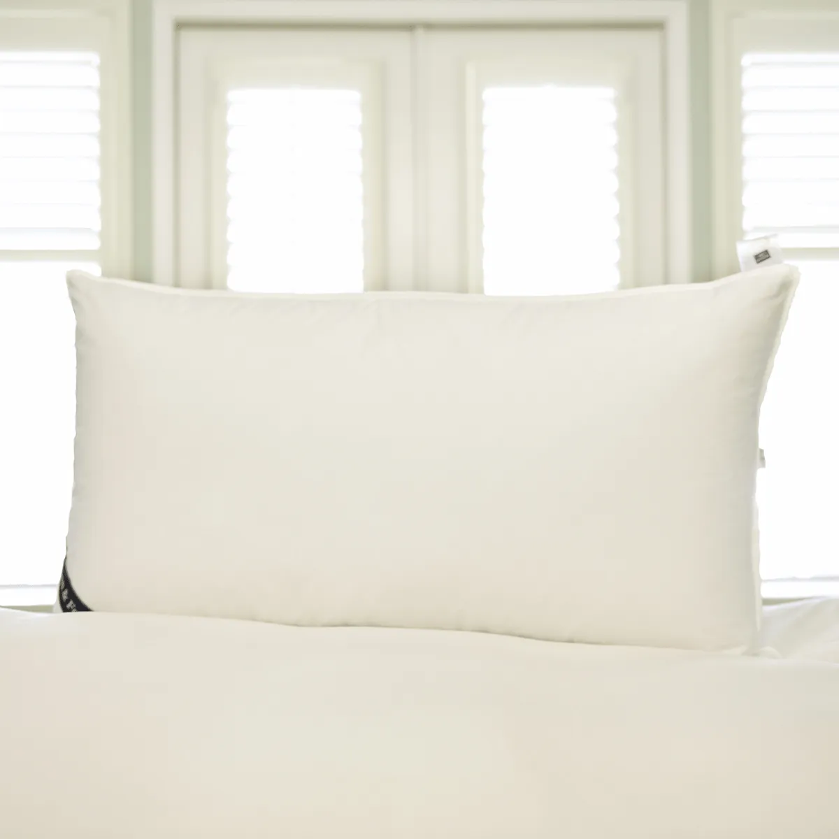 Snuggle Soft 700 Goose Down Pillow King Size - Firm