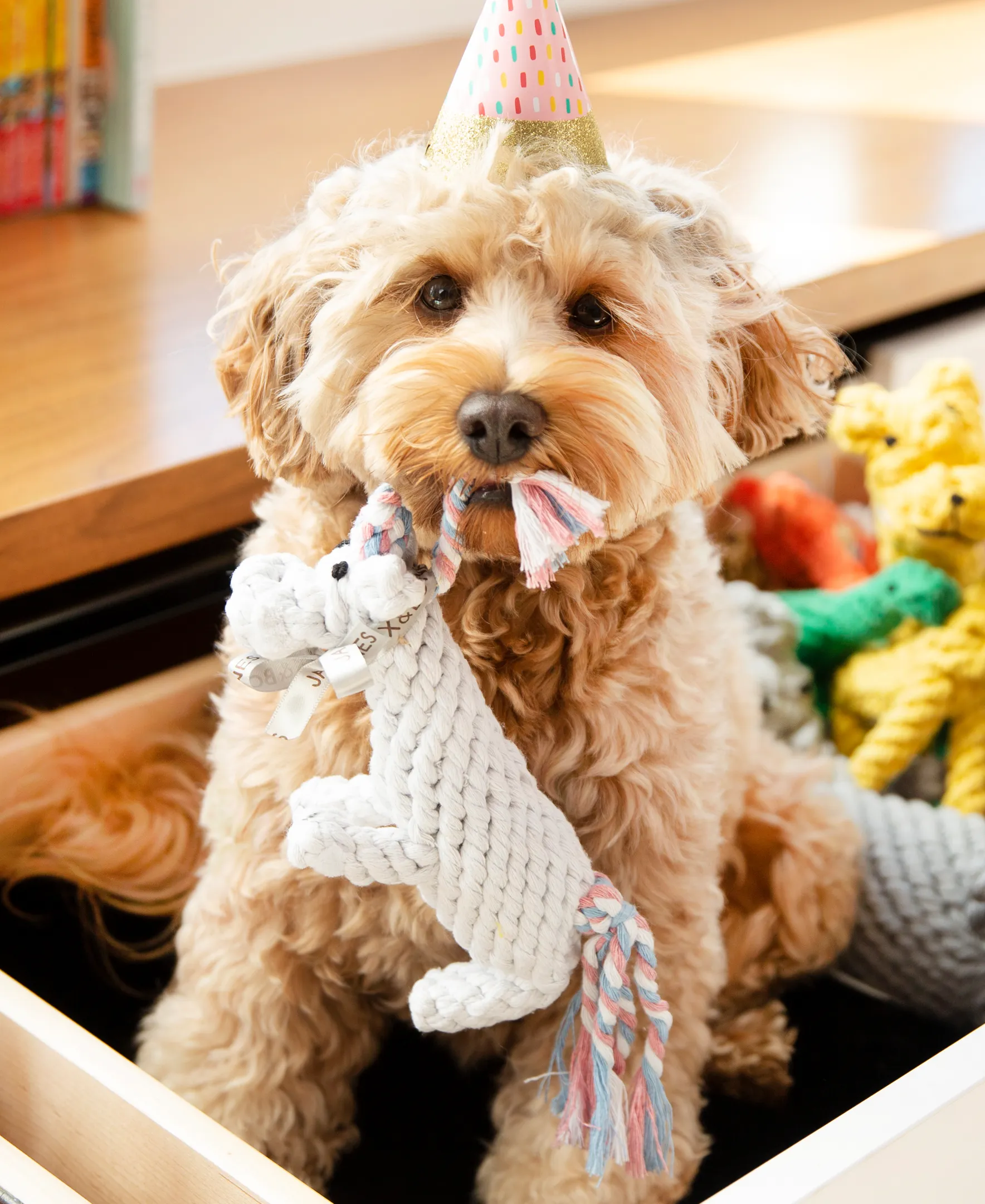 Unicorn 8" Rope Dog Toy